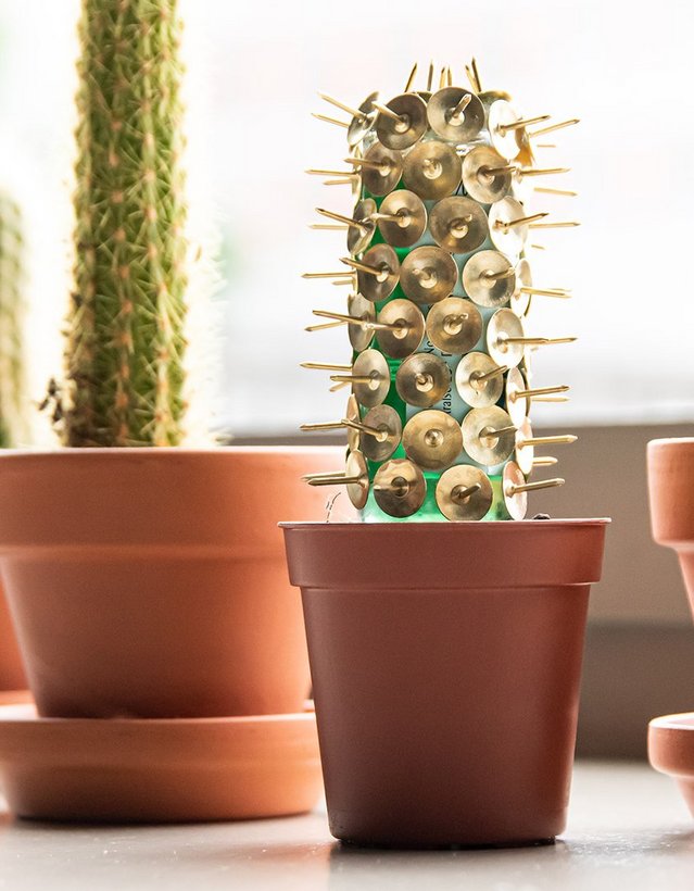 DIY: Pfeffi Kaktus Das Bild zeigt mehrere Kakteen auf einer Fensterbank. Einer davon besteht aus einer verkehrt herum in einen Blumentopf gesteckten Pfeffi Mini Flasche, die mit Reißzwecken bedeckt ist