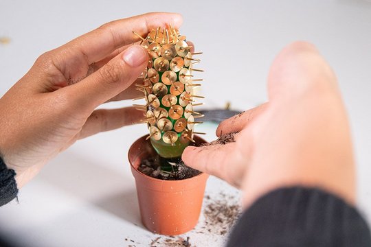 Das Bild zeigt, wie das mit Reißzwecken bedeckte Fläschchen verkehrt herum in einen Blumentopf mit Erde gesteckt wird