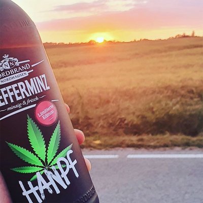 Hanpf Fanbild 6 Das Bild zeigt eine Hanpf Flasche im Sonnenuntergang.